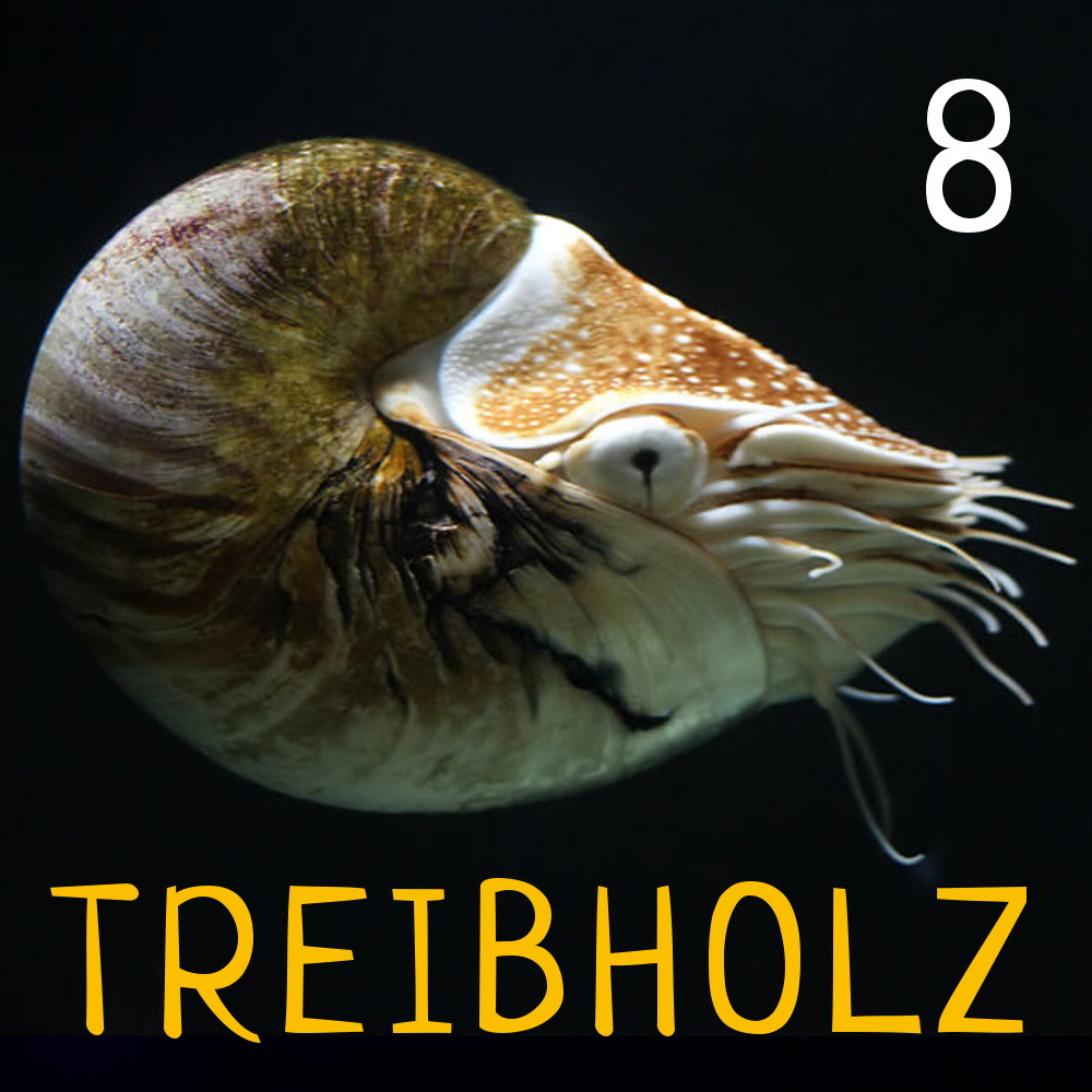 Treibholz - Ozeanographie mit Maxie und Ronja