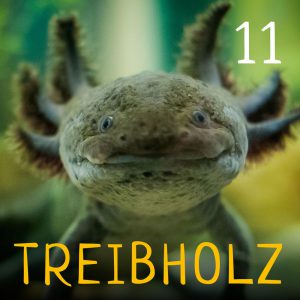 Treibholz - Ozeanographie mit Maxie und Ronja