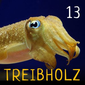 Treibholz - Ozeanographie mit Maxie und Ronja