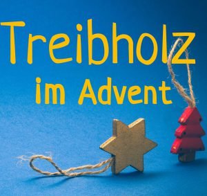 Treibholz - Ozeanographie mit Maxie und Ronja