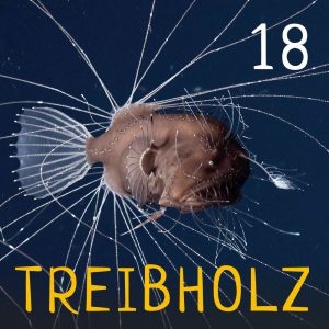 Treibholz - Ozeanographie mit Maxie und Ronja